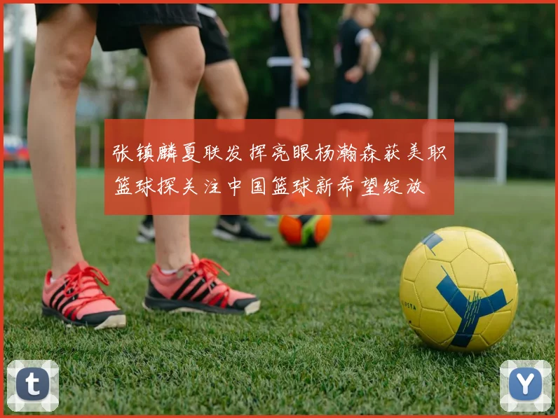 张镇麟夏联发挥亮眼杨瀚森获美职篮球探关注中国篮球新希望绽放