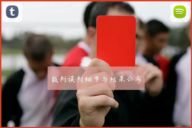 裁判误判细节与结果公布