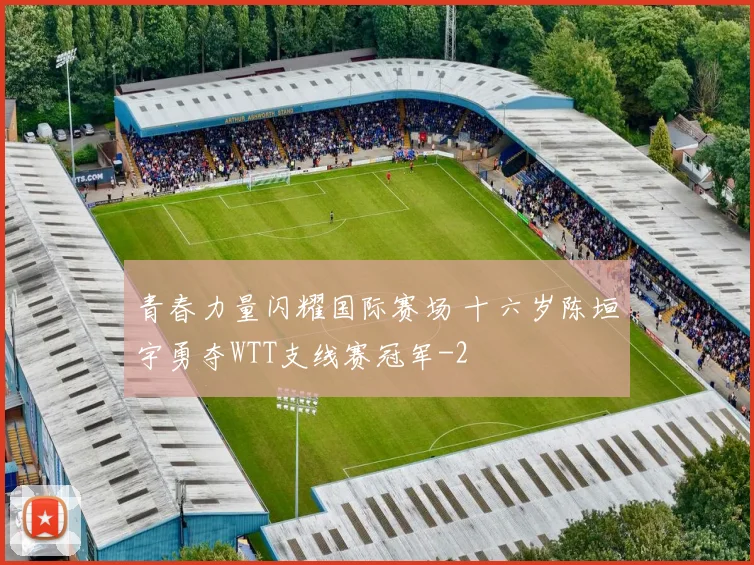 青春力量闪耀国际赛场 十六岁陈垣宇勇夺WTT支线赛冠军
